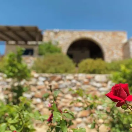 Villa Artemis Island